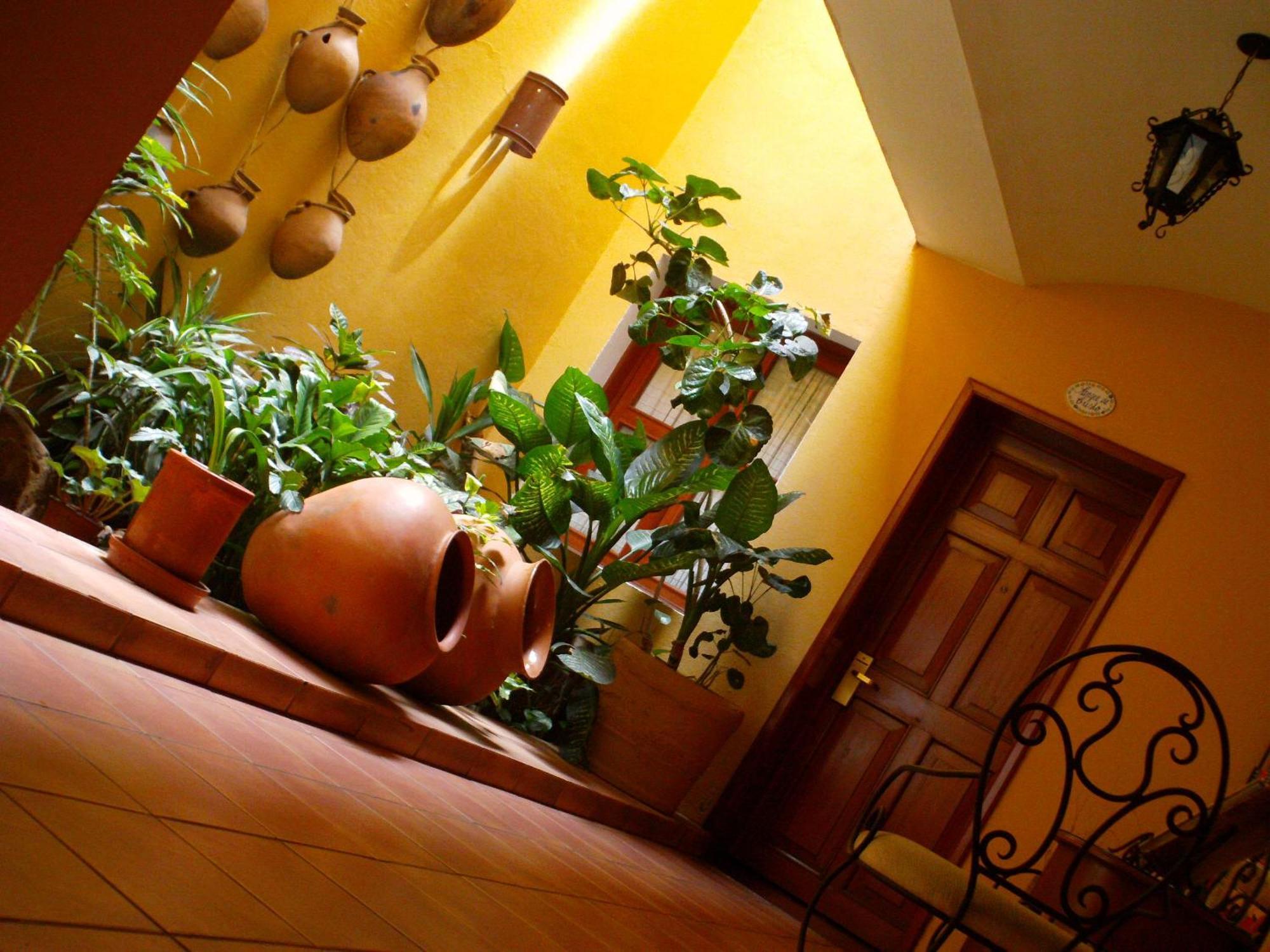 Hotel Casa Divina Oaxaca מראה חיצוני תמונה