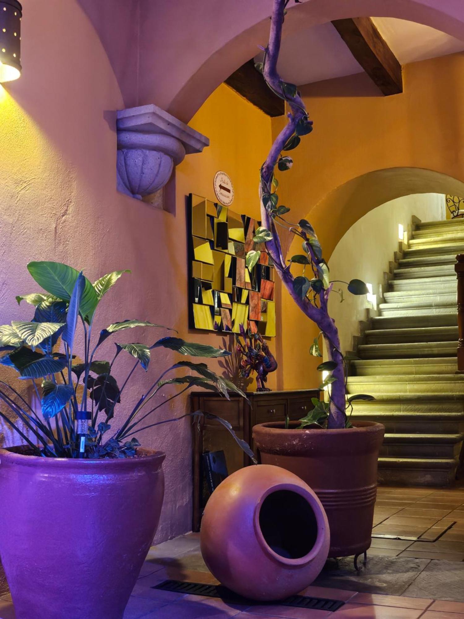 Hotel Casa Divina Oaxaca מראה חיצוני תמונה